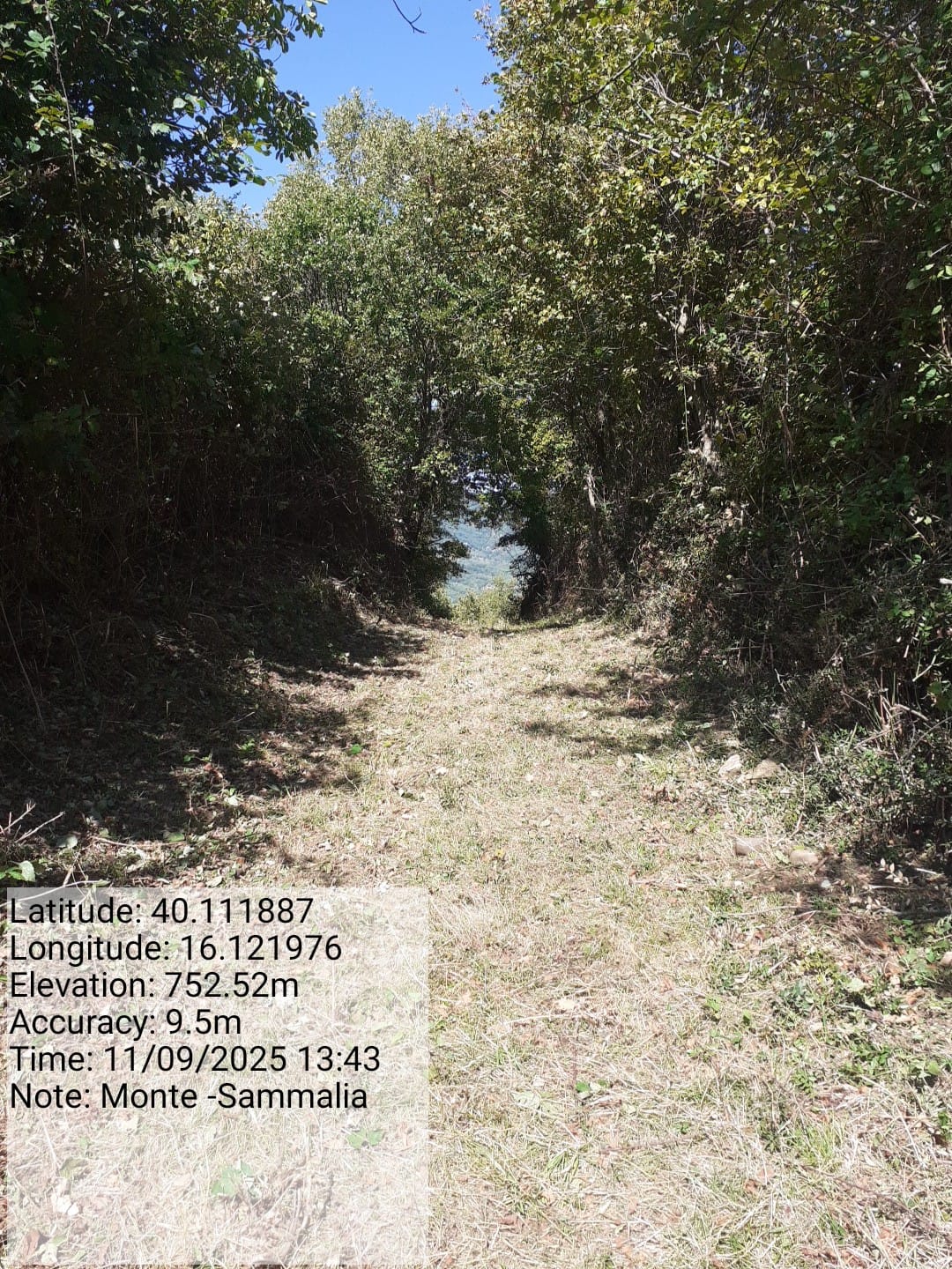 Galleria Fotografica Immagine