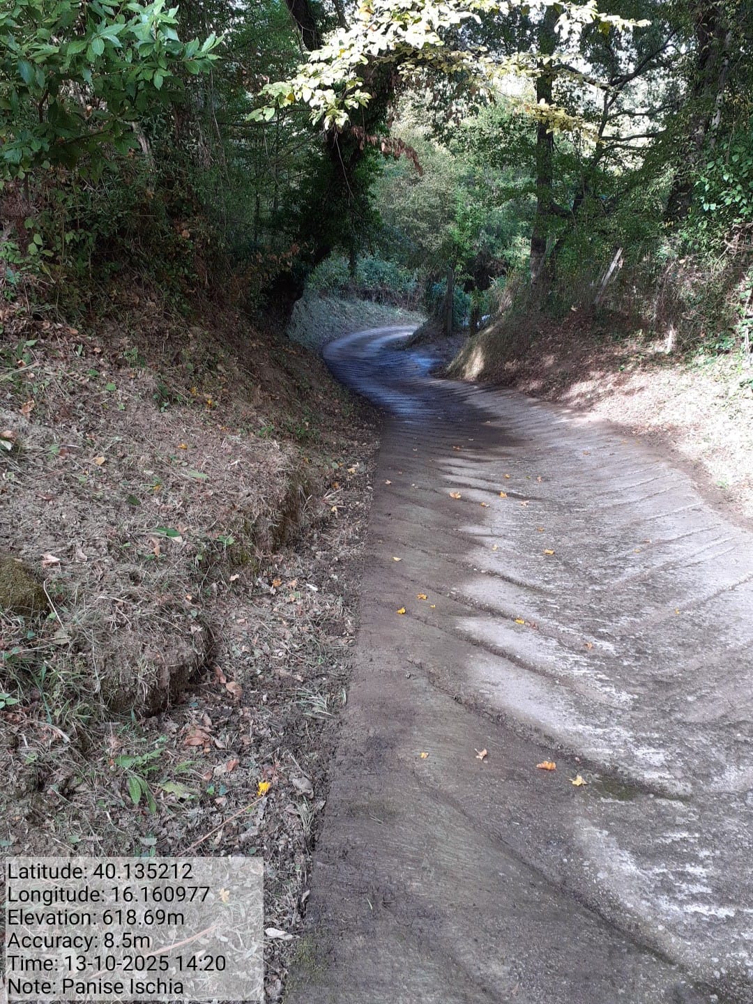 Galleria Fotografica Immagine