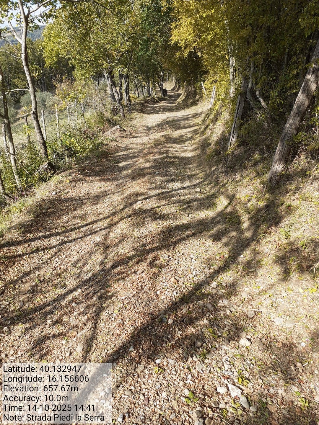 Galleria Fotografica Immagine