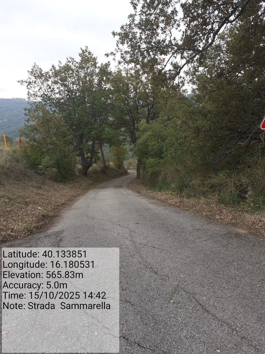 Galleria Fotografica Immagine