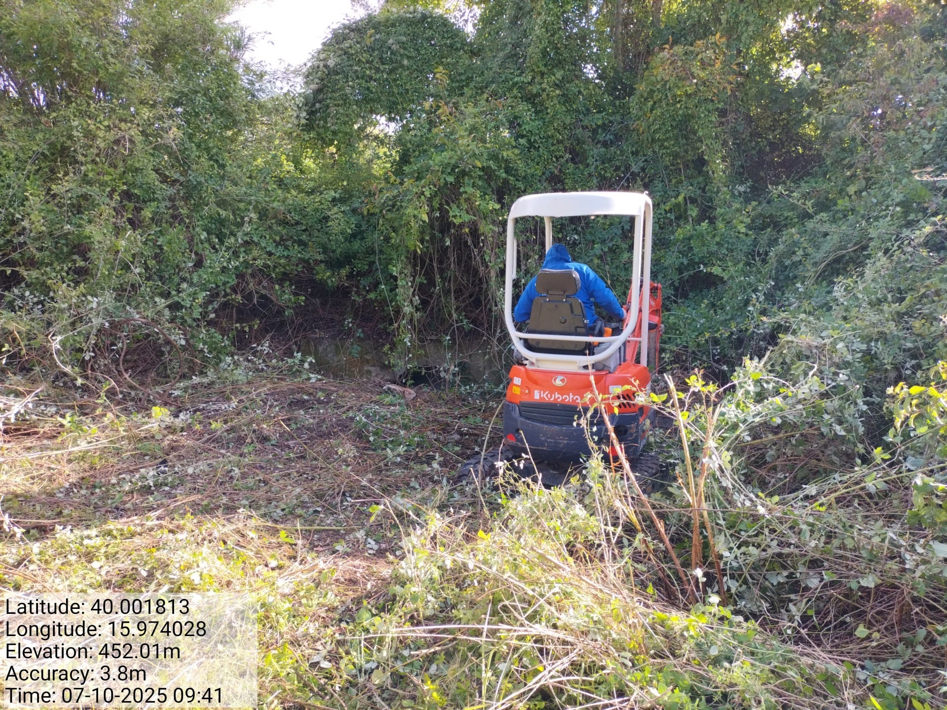 Galleria Fotografica Immagine