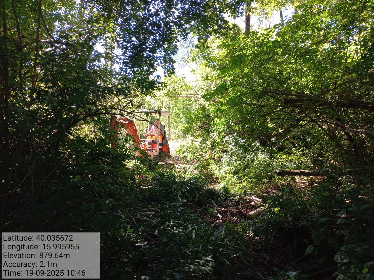 Galleria Fotografica Immagine