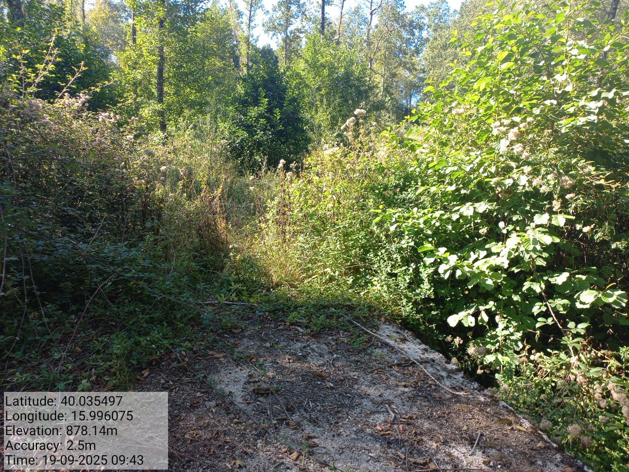 Galleria Fotografica Immagine