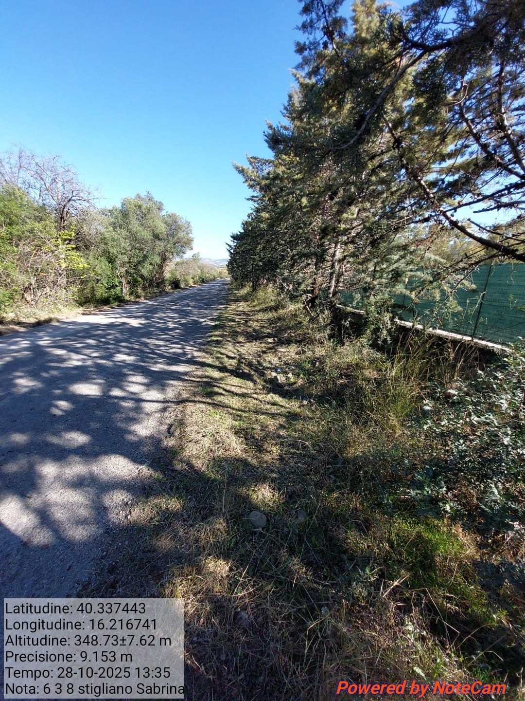 Galleria Fotografica Immagine