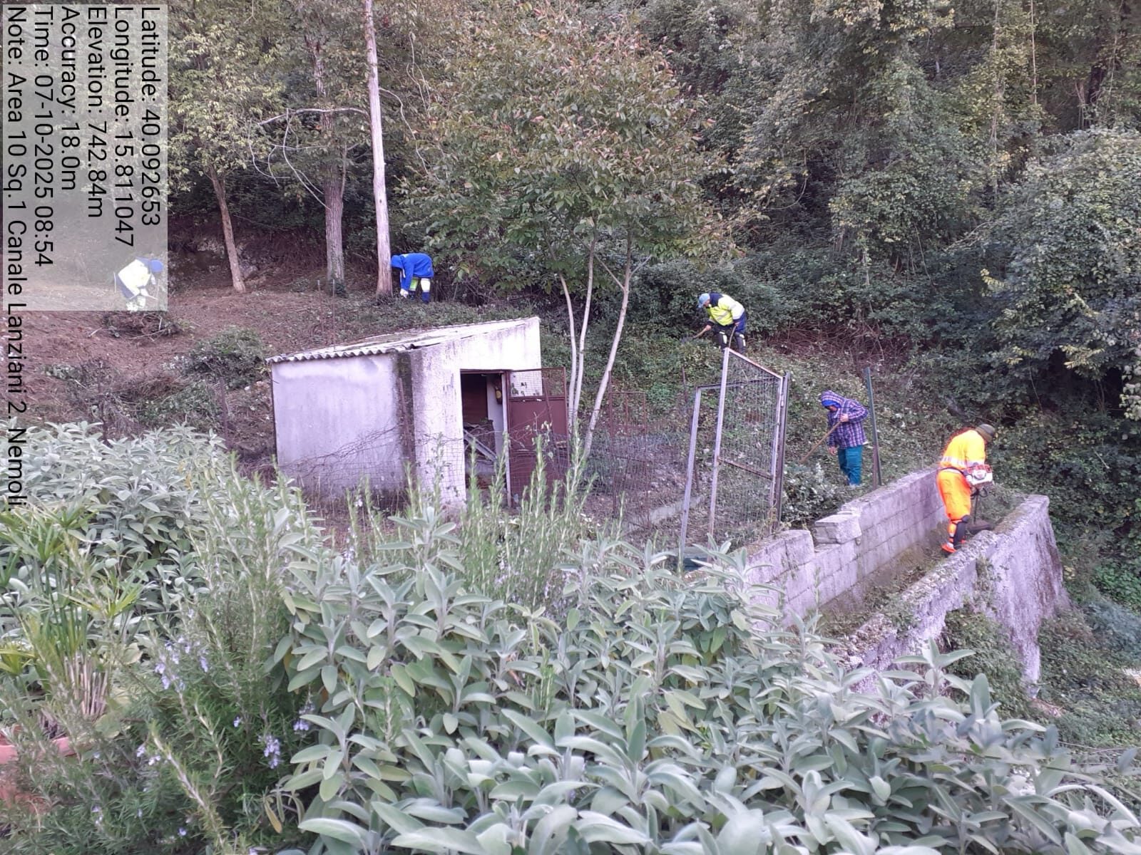 Galleria Fotografica Immagine