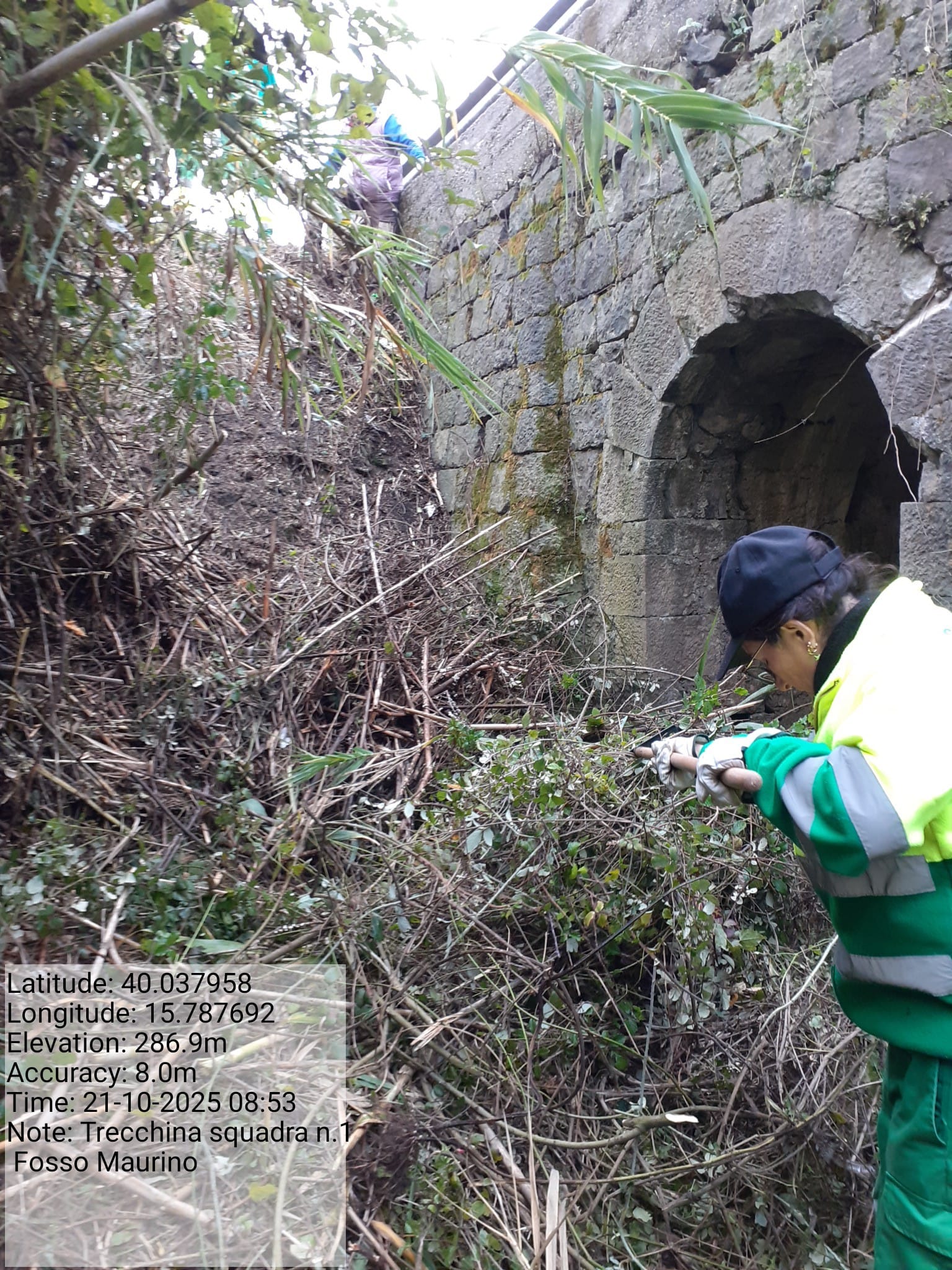 Galleria Fotografica Immagine