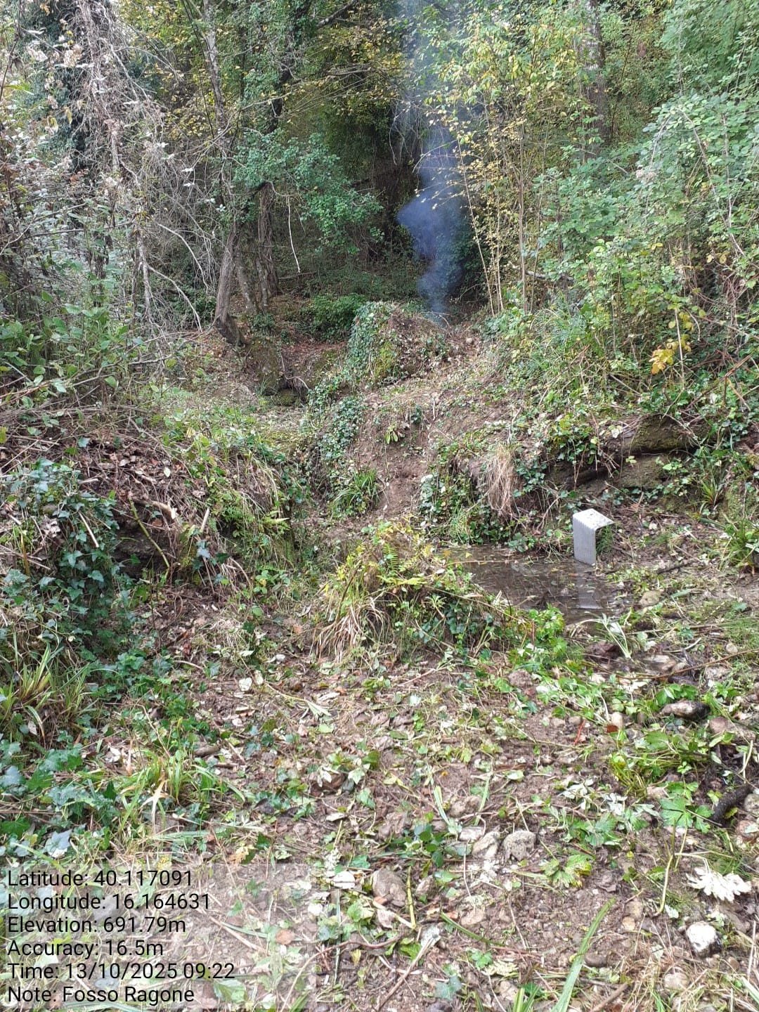 Galleria Fotografica Immagine