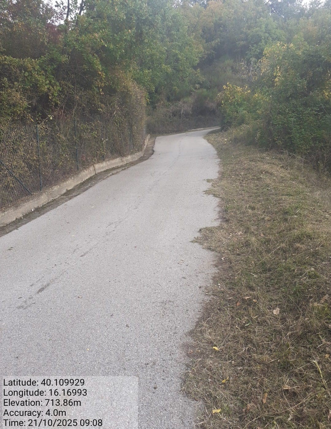 Galleria Fotografica Immagine