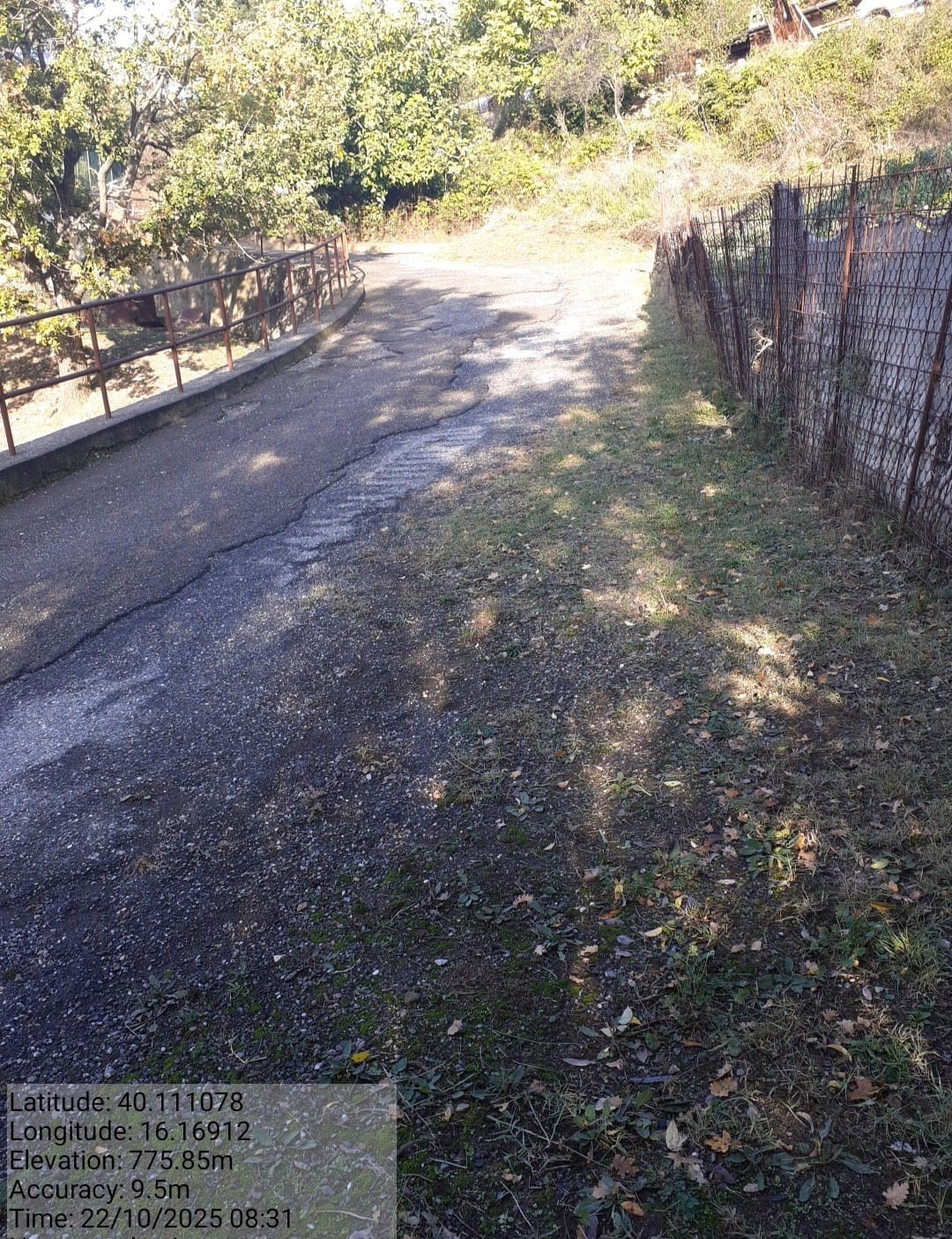 Galleria Fotografica Immagine