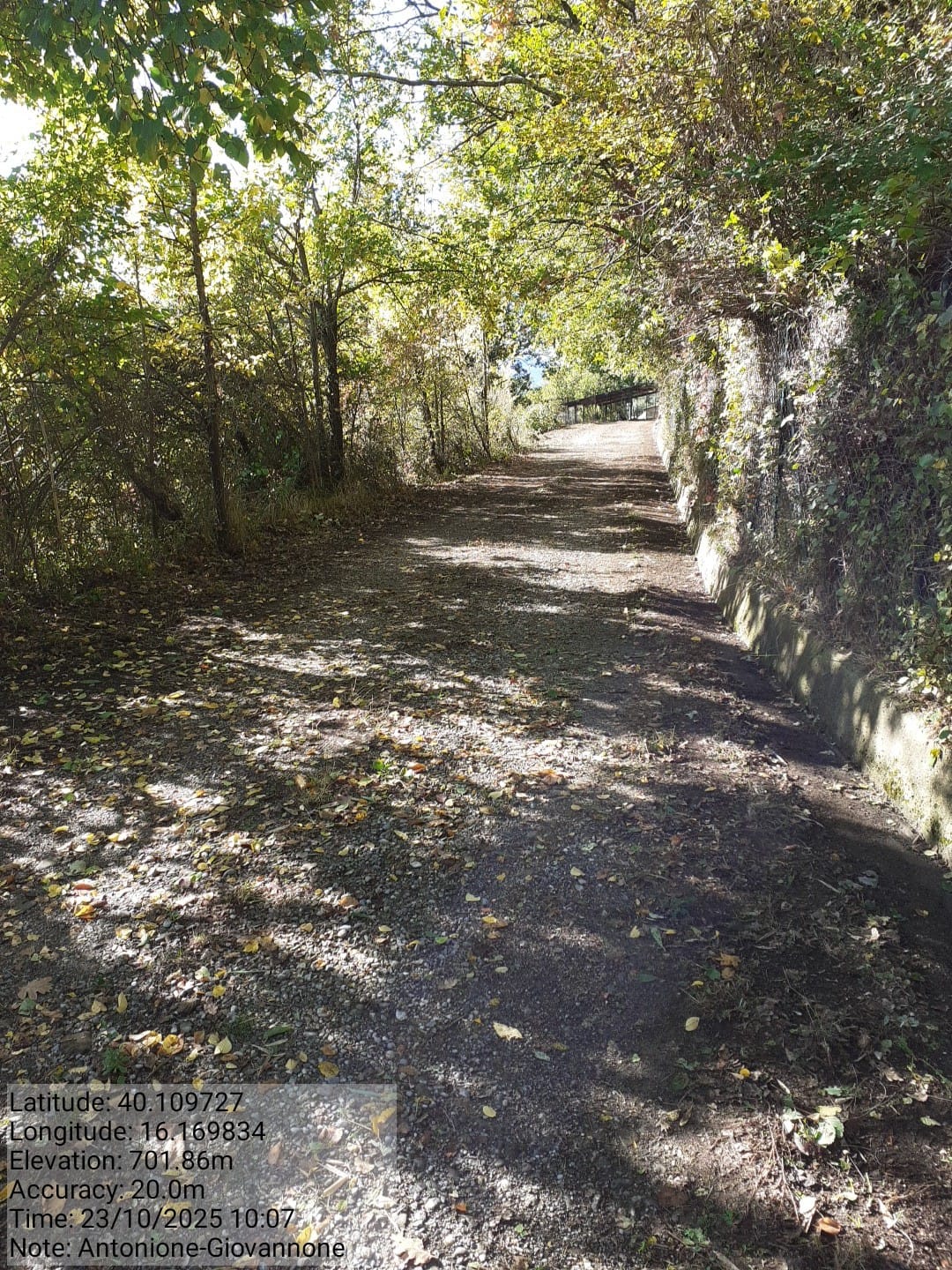 Galleria Fotografica Immagine