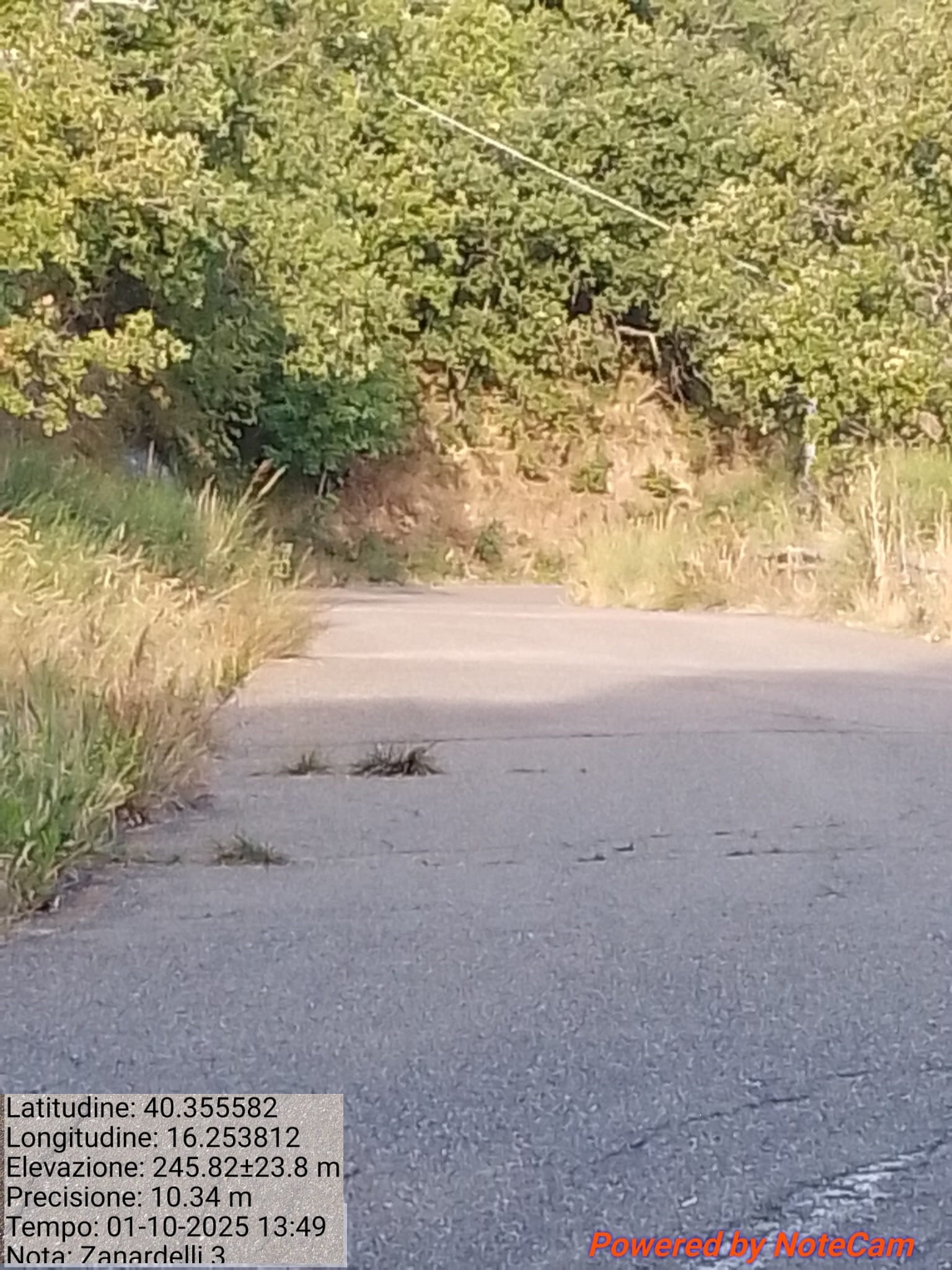 Galleria Fotografica Immagine