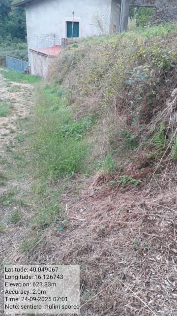 Galleria Fotografica Immagine