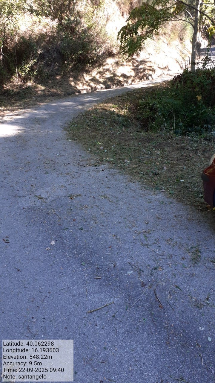 Galleria Fotografica Immagine