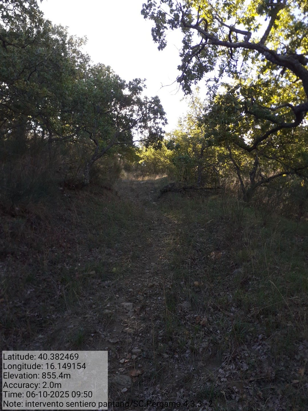 Galleria Fotografica Immagine