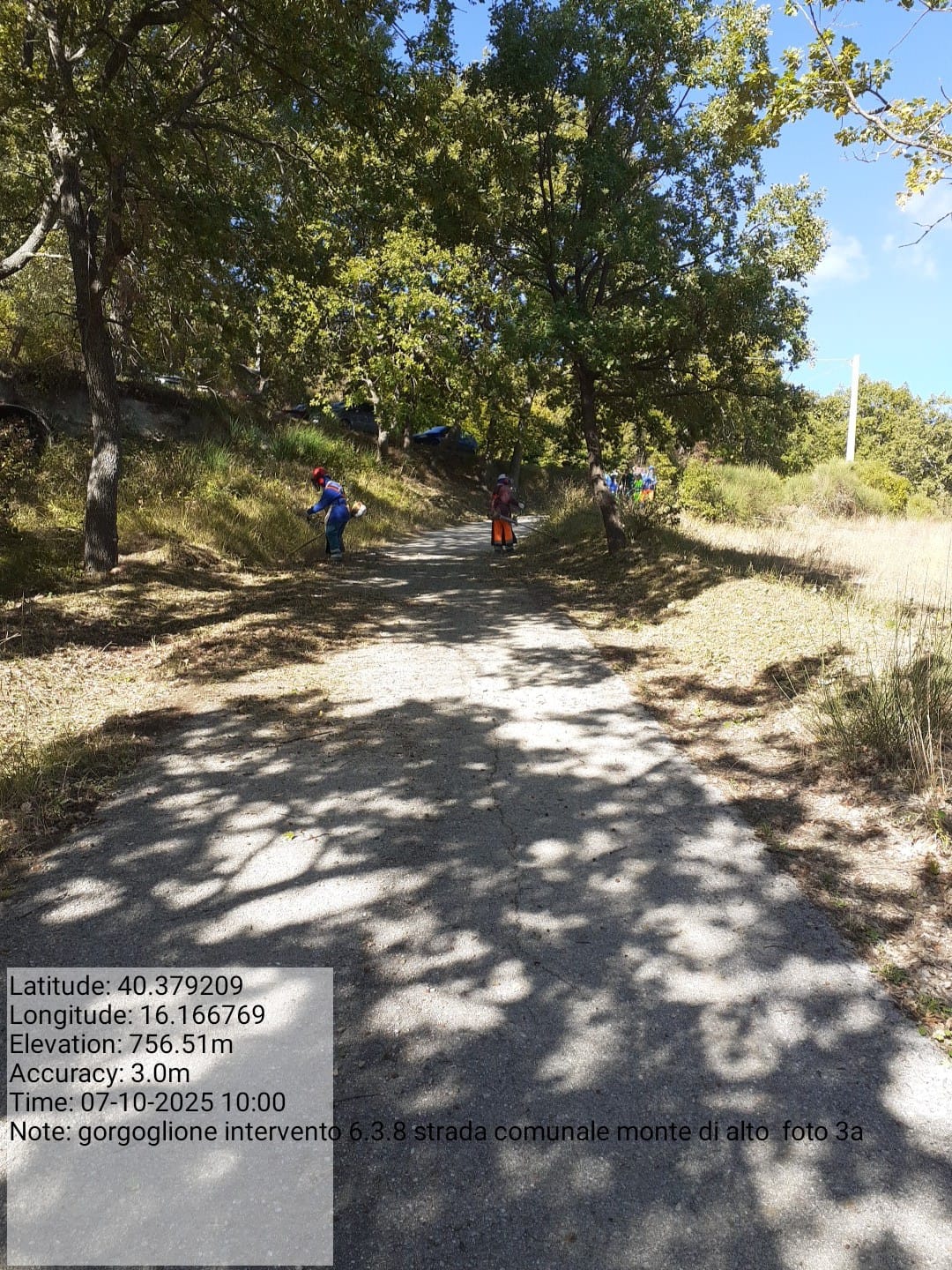 Galleria Fotografica Immagine