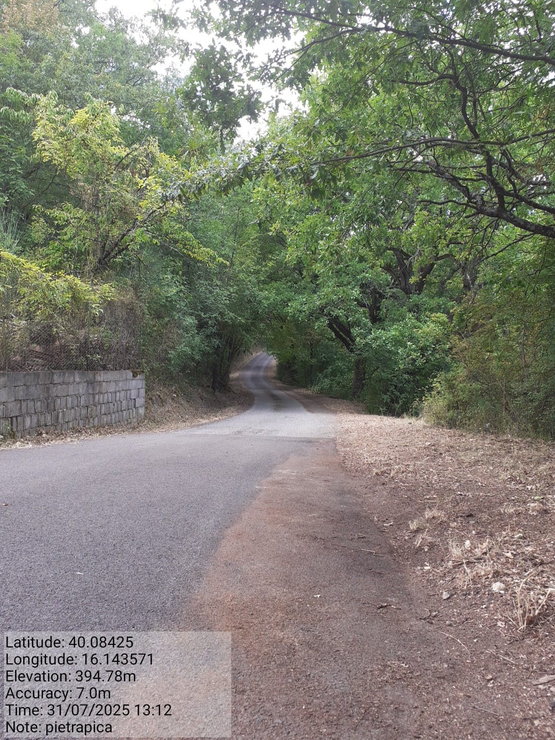 Galleria Fotografica Immagine