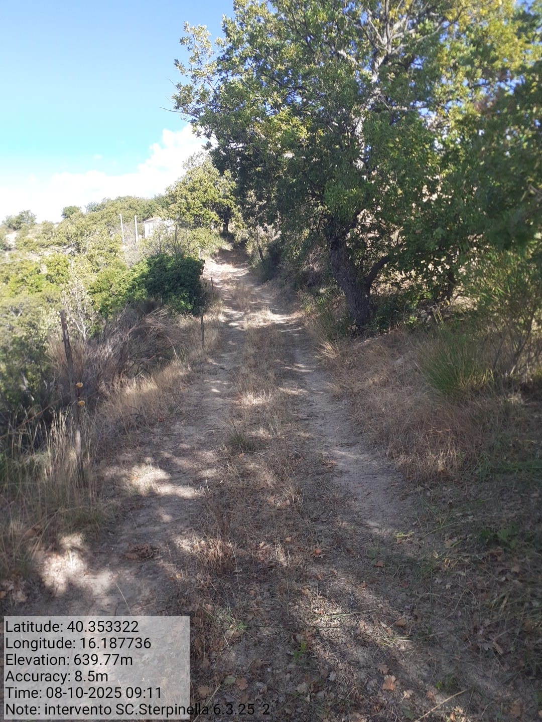 Galleria Fotografica Immagine