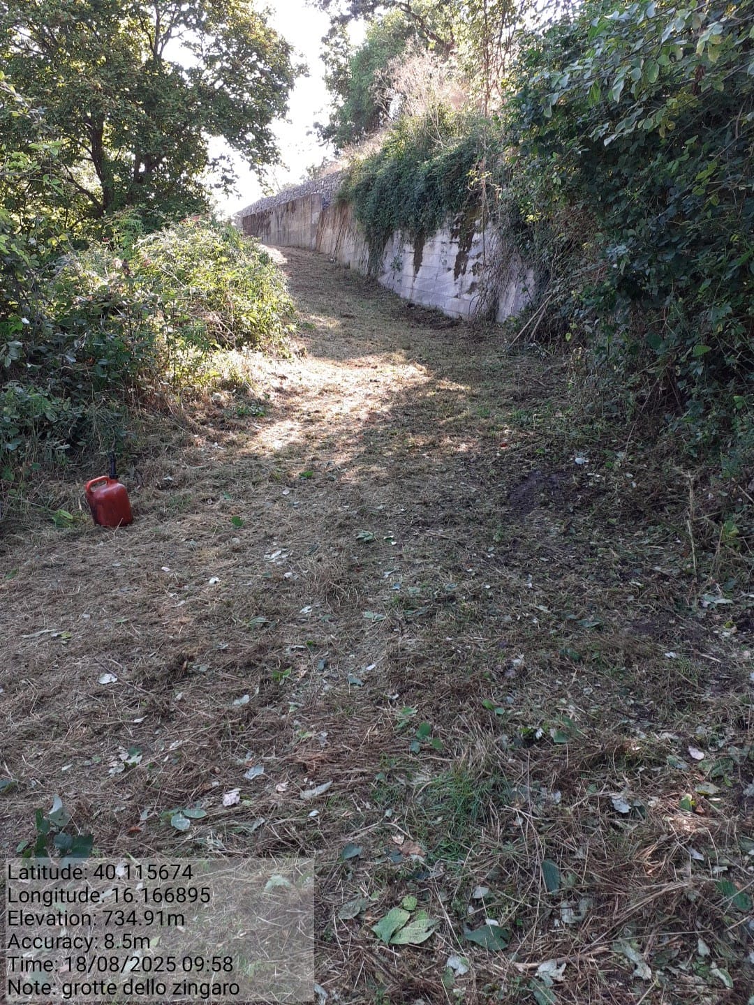 Galleria Fotografica Immagine