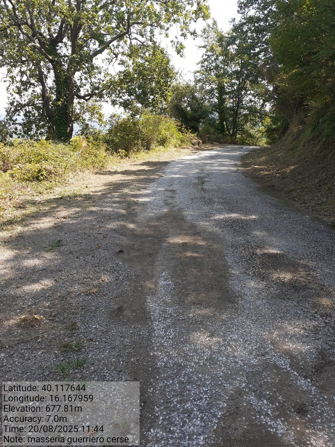 Galleria Fotografica Immagine