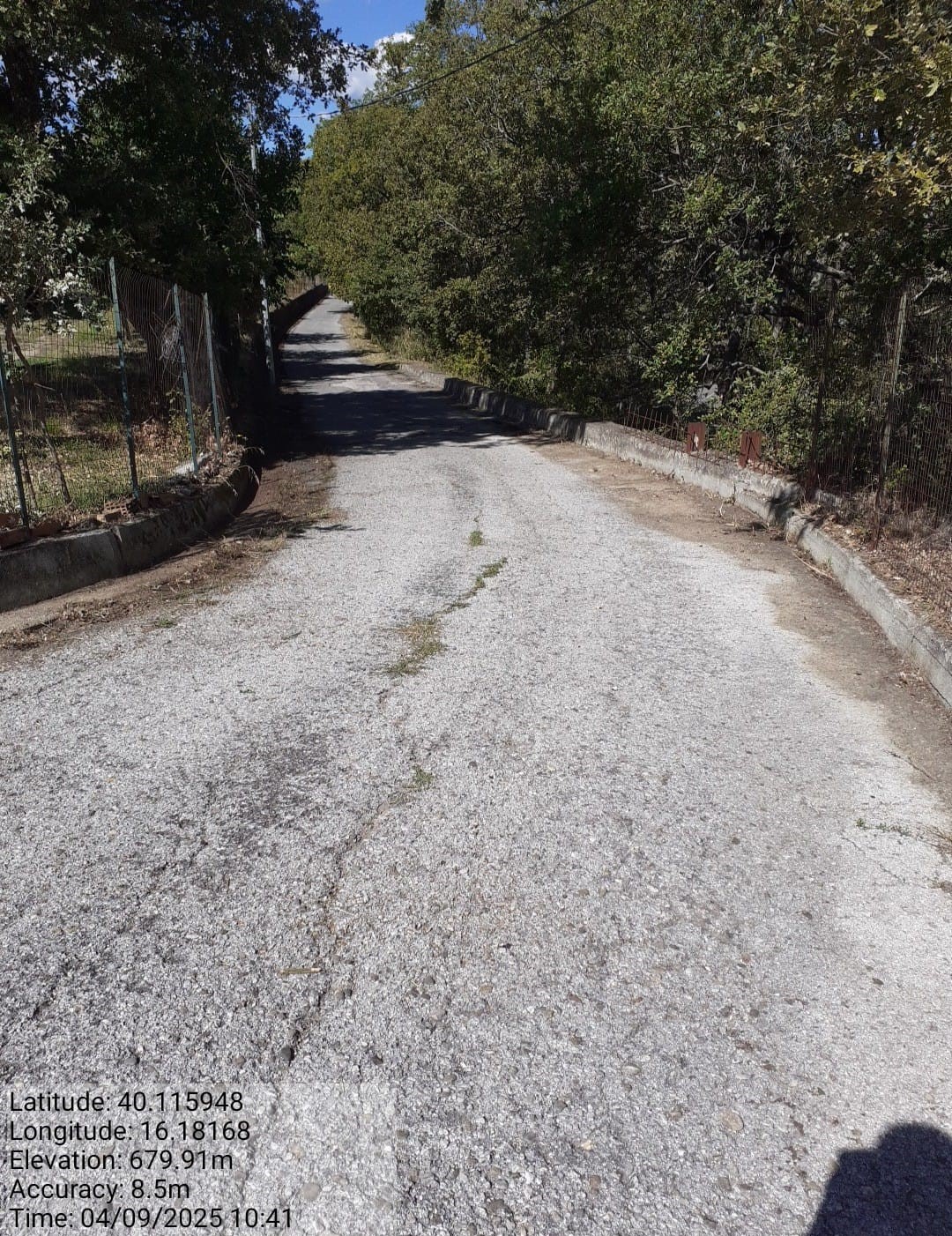 Galleria Fotografica Immagine