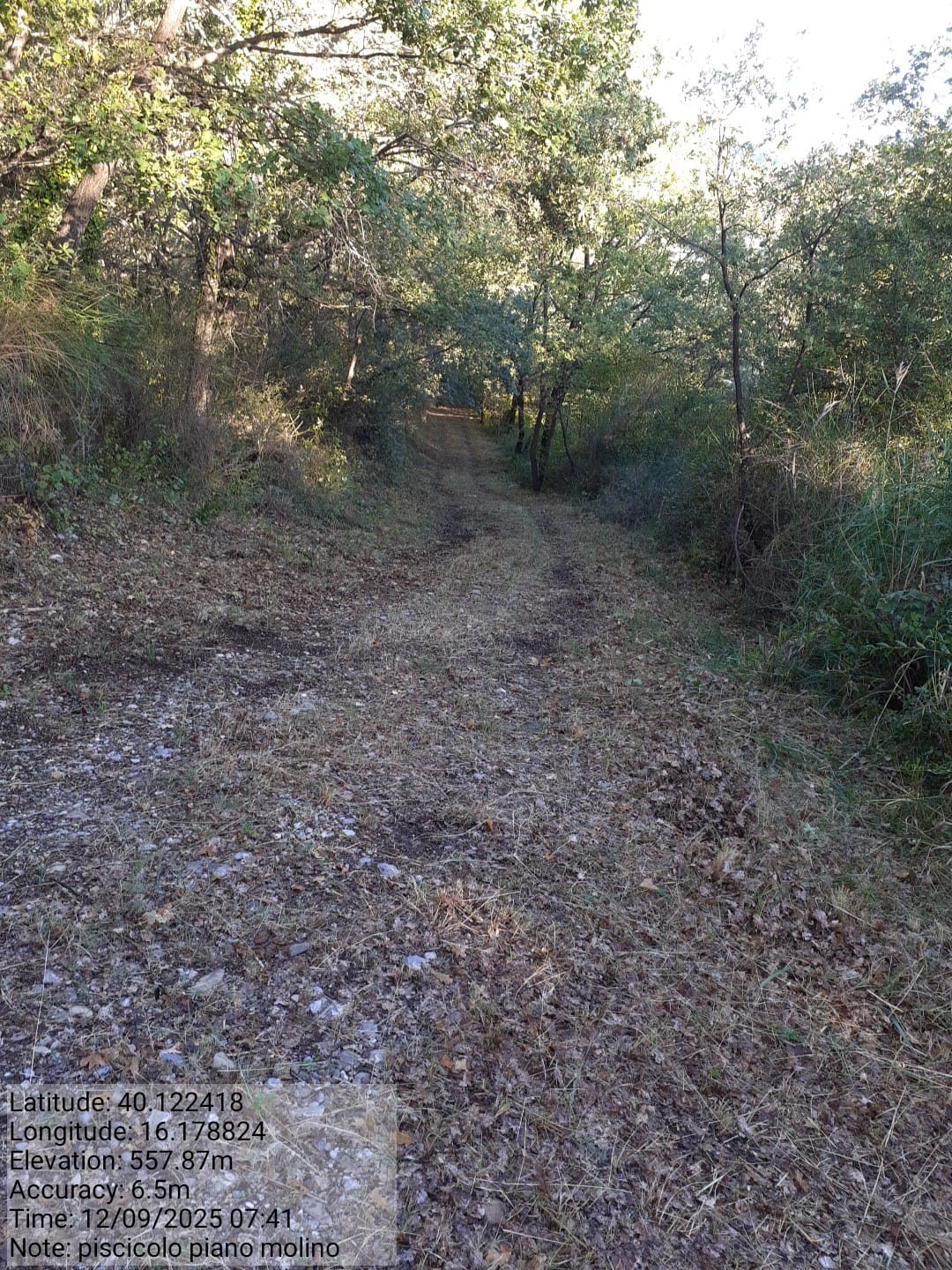 Galleria Fotografica Immagine