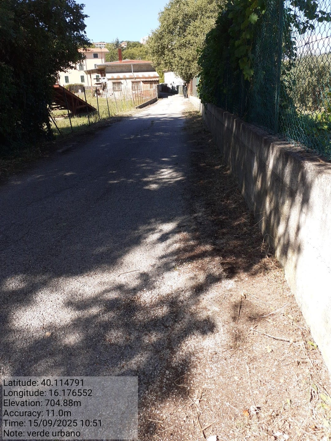 Galleria Fotografica Immagine