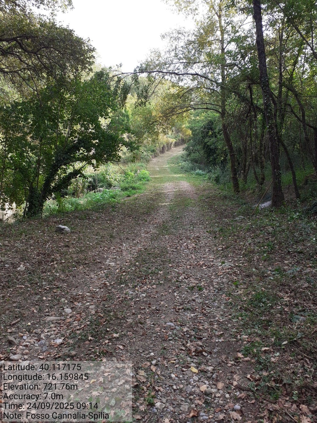 Galleria Fotografica Immagine