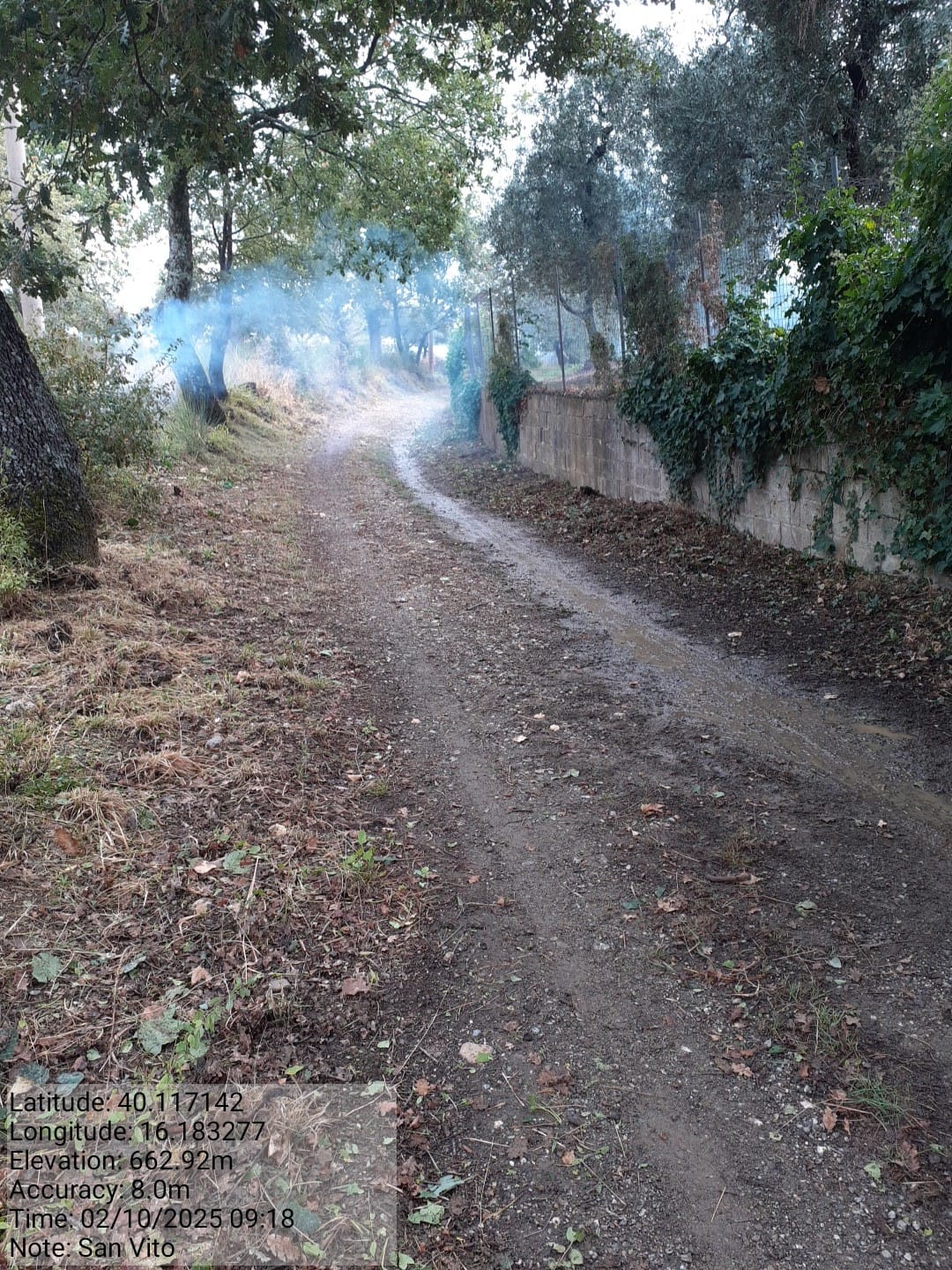 Galleria Fotografica Immagine