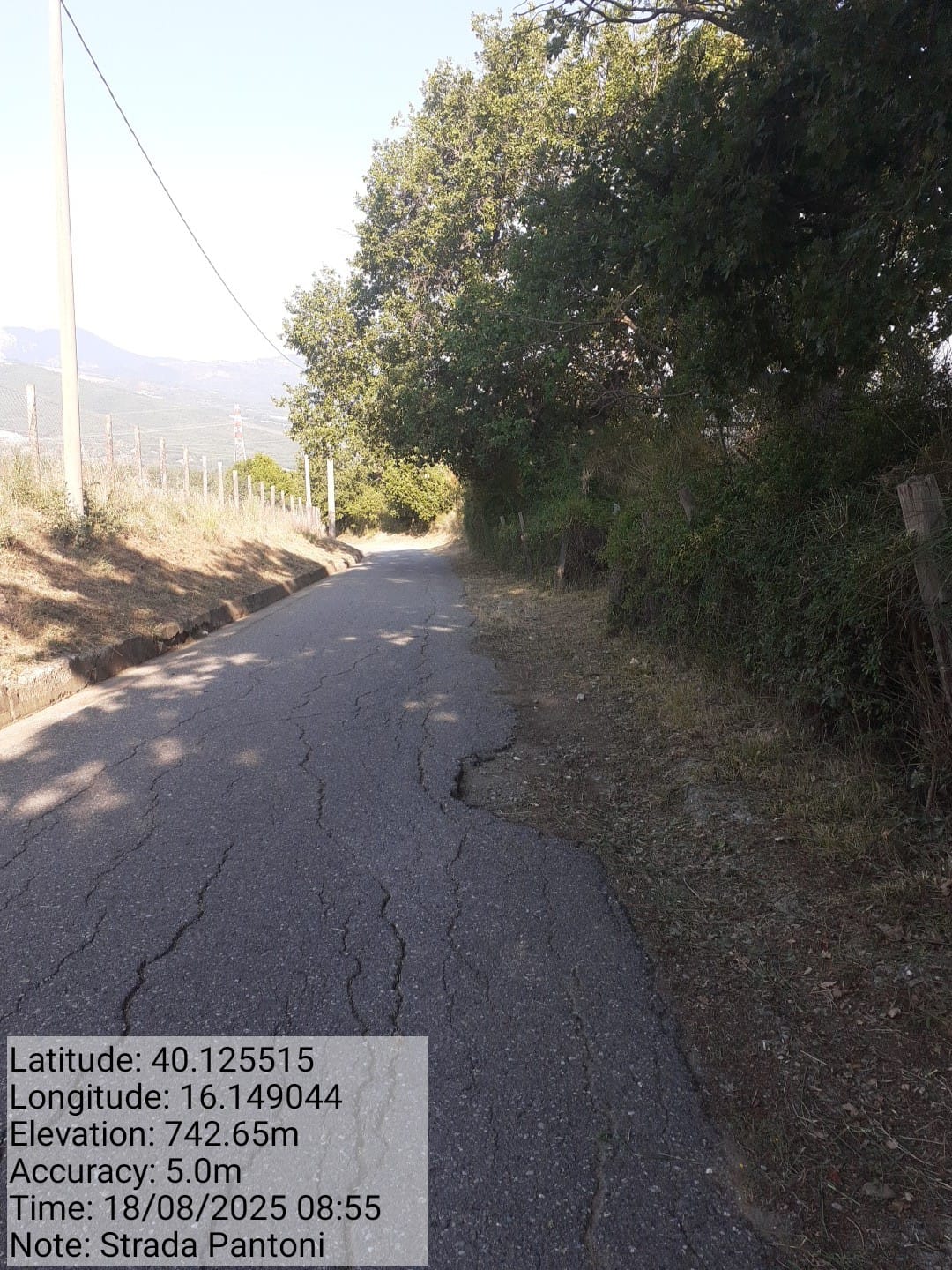 Galleria Fotografica Immagine