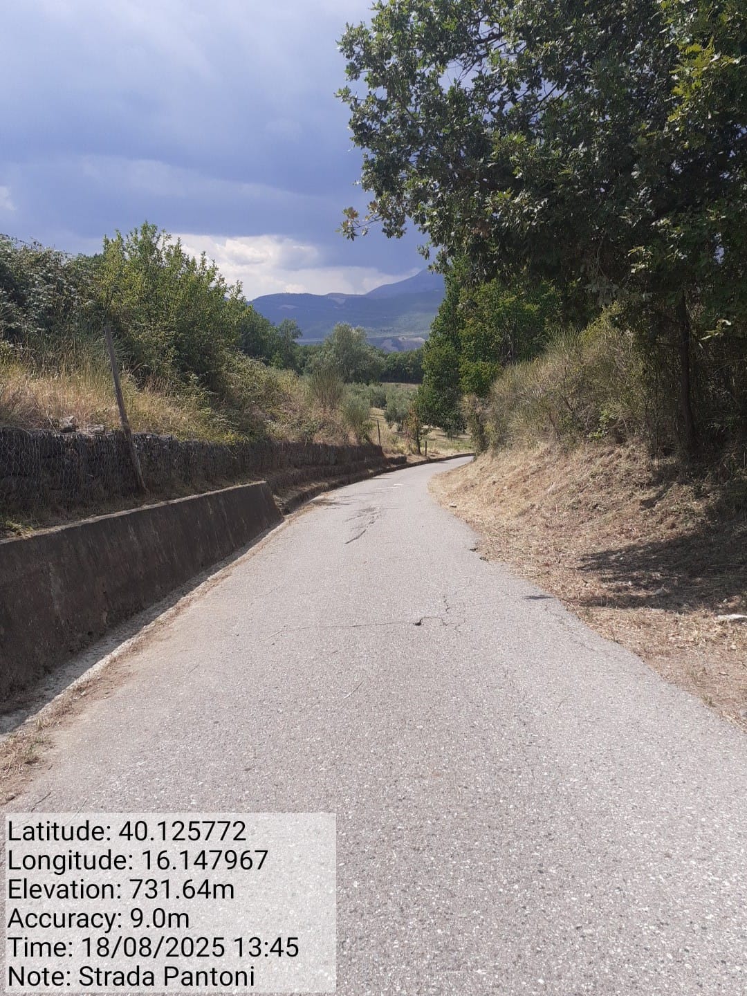 Galleria Fotografica Immagine