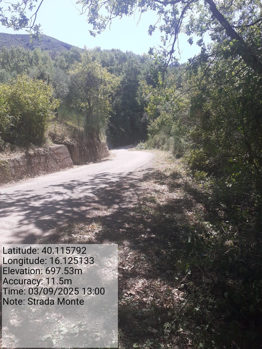 Galleria Fotografica Immagine