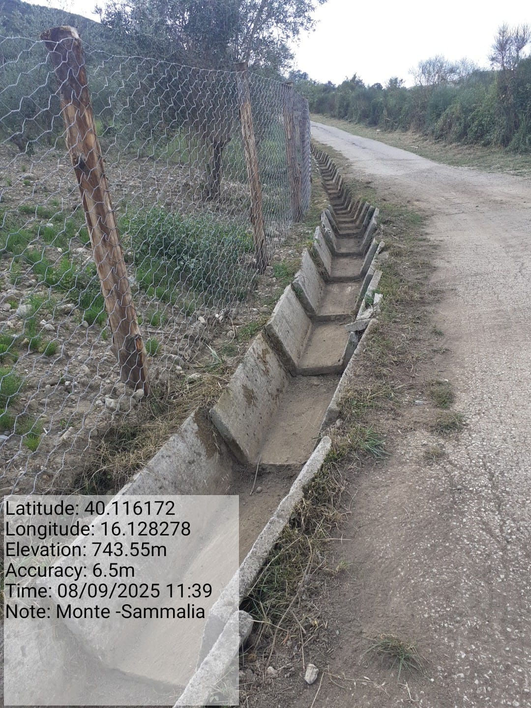 Galleria Fotografica Immagine