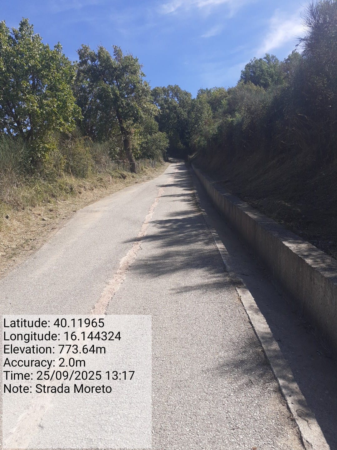 Galleria Fotografica Immagine