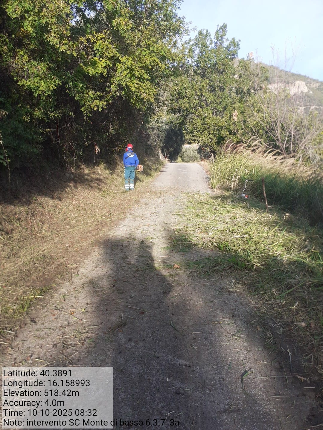 Galleria Fotografica Immagine