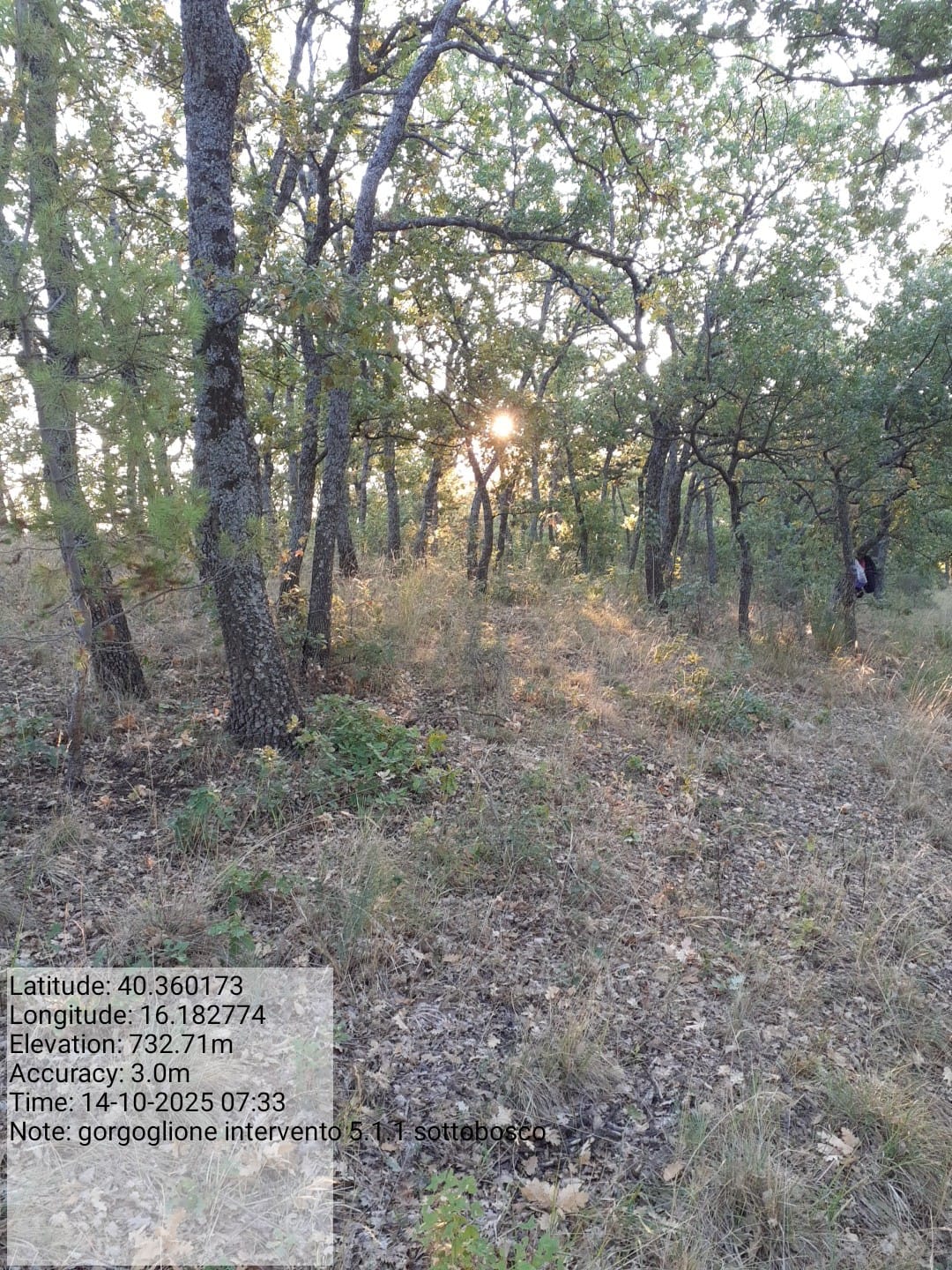 Galleria Fotografica Immagine