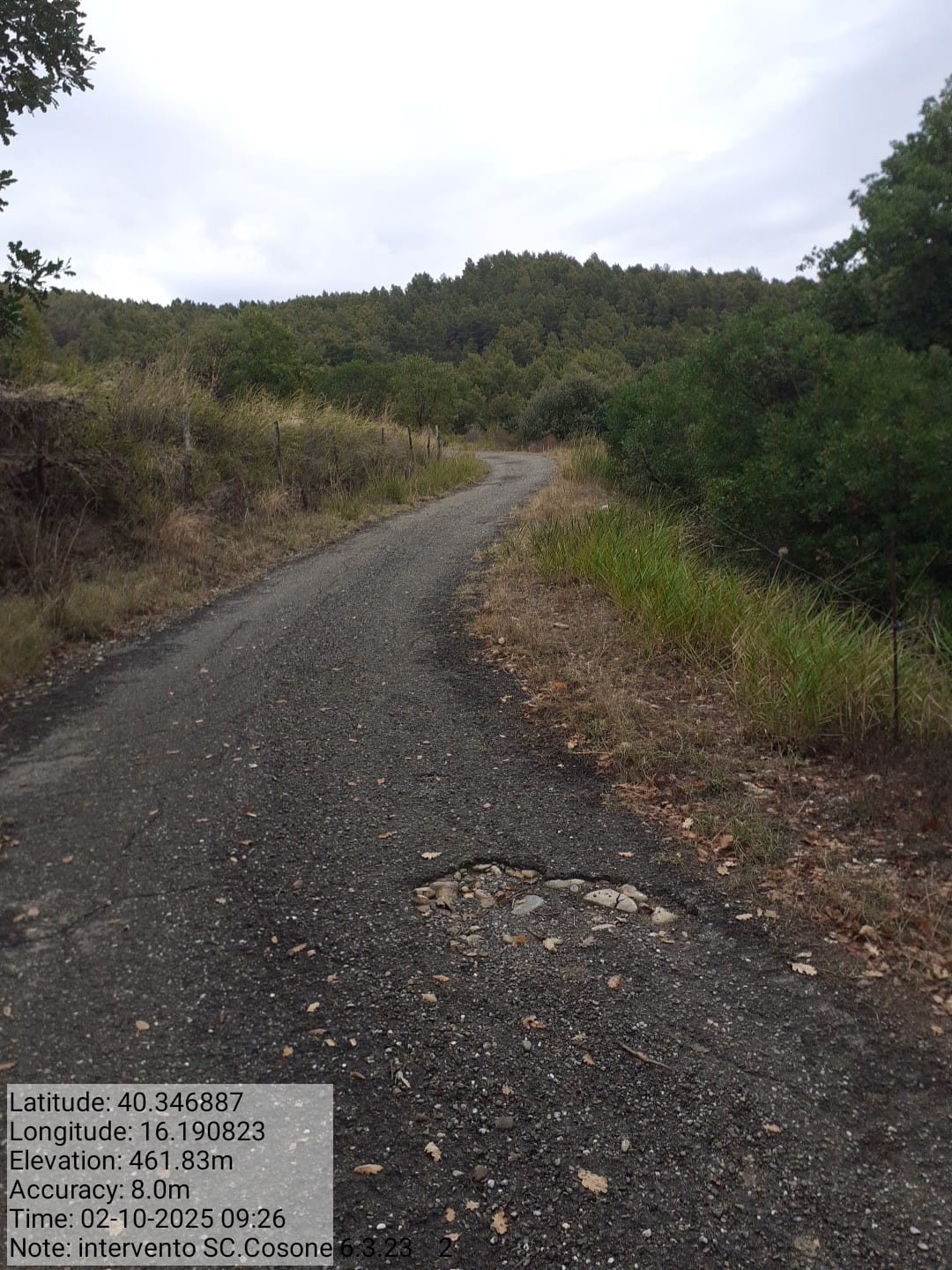 Galleria Fotografica Immagine