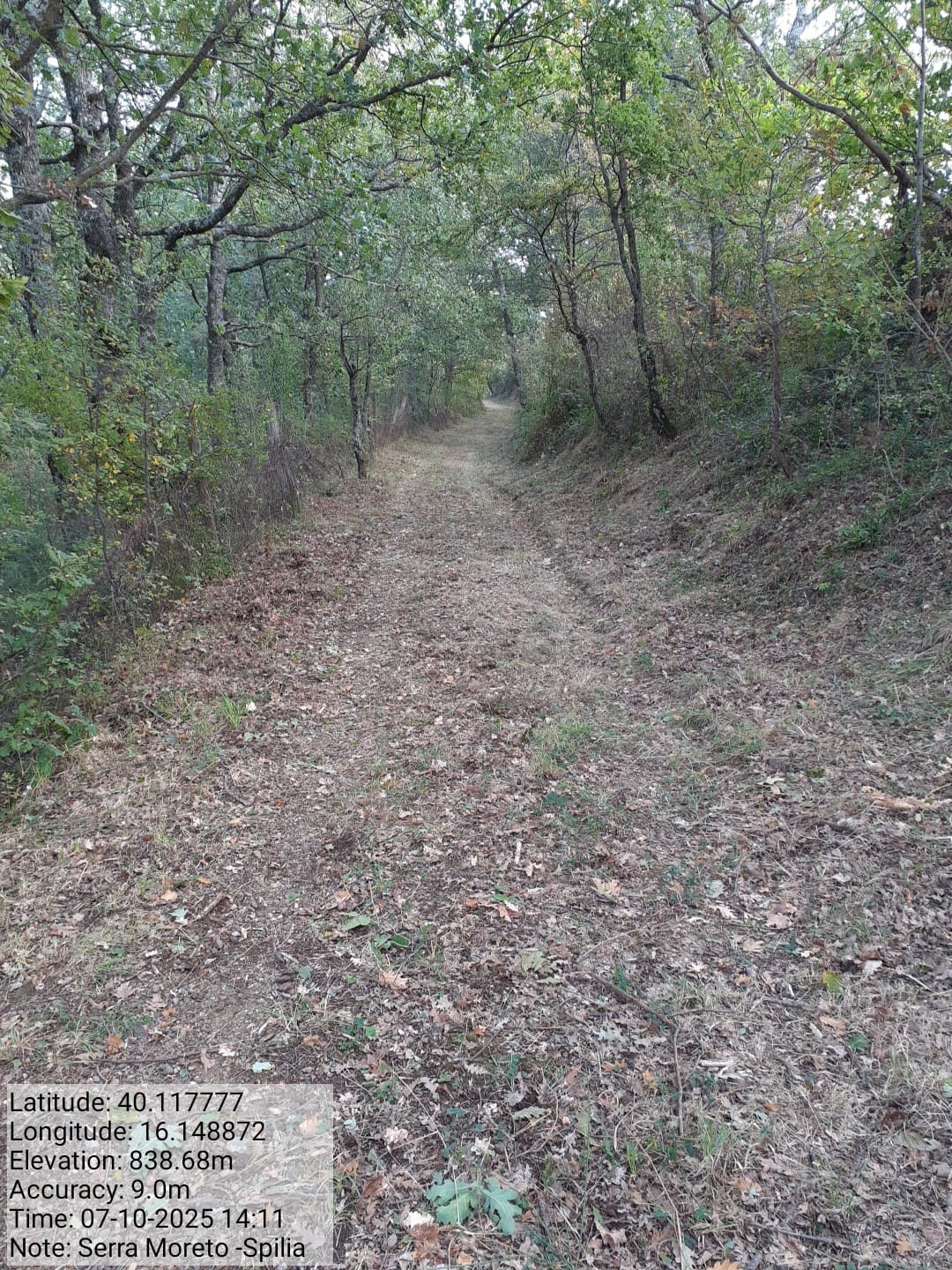 Galleria Fotografica Immagine