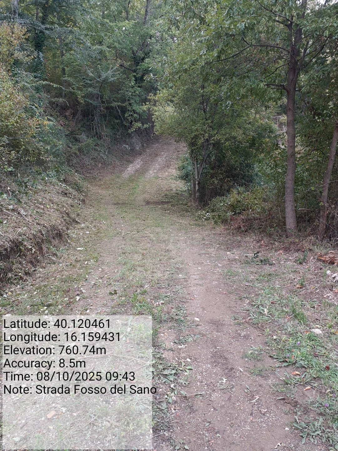 Galleria Fotografica Immagine