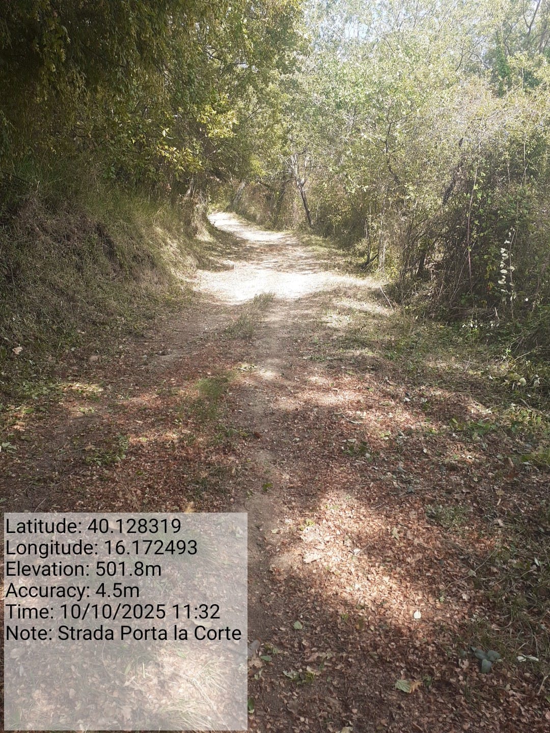 Galleria Fotografica Immagine