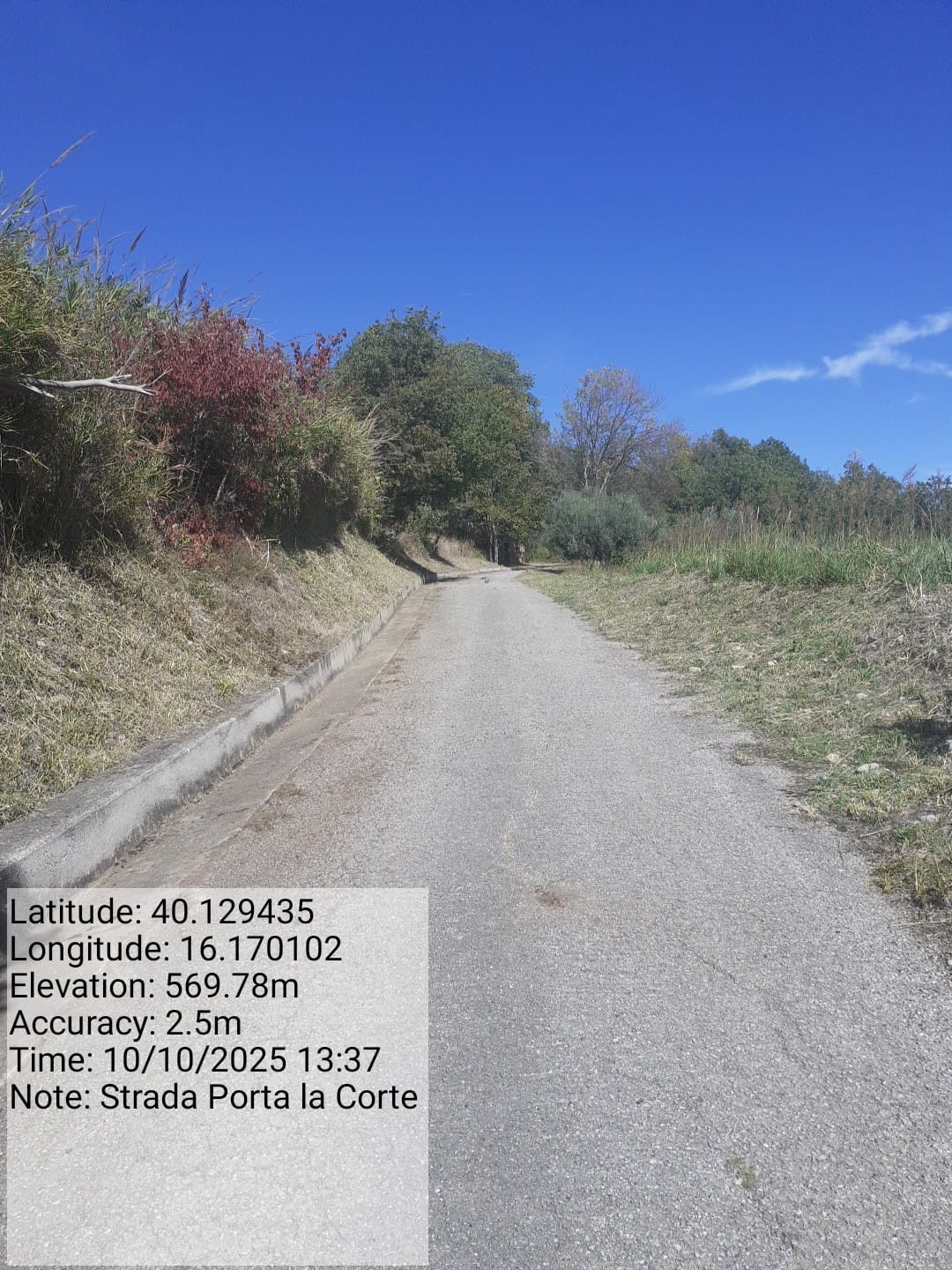 Galleria Fotografica Immagine