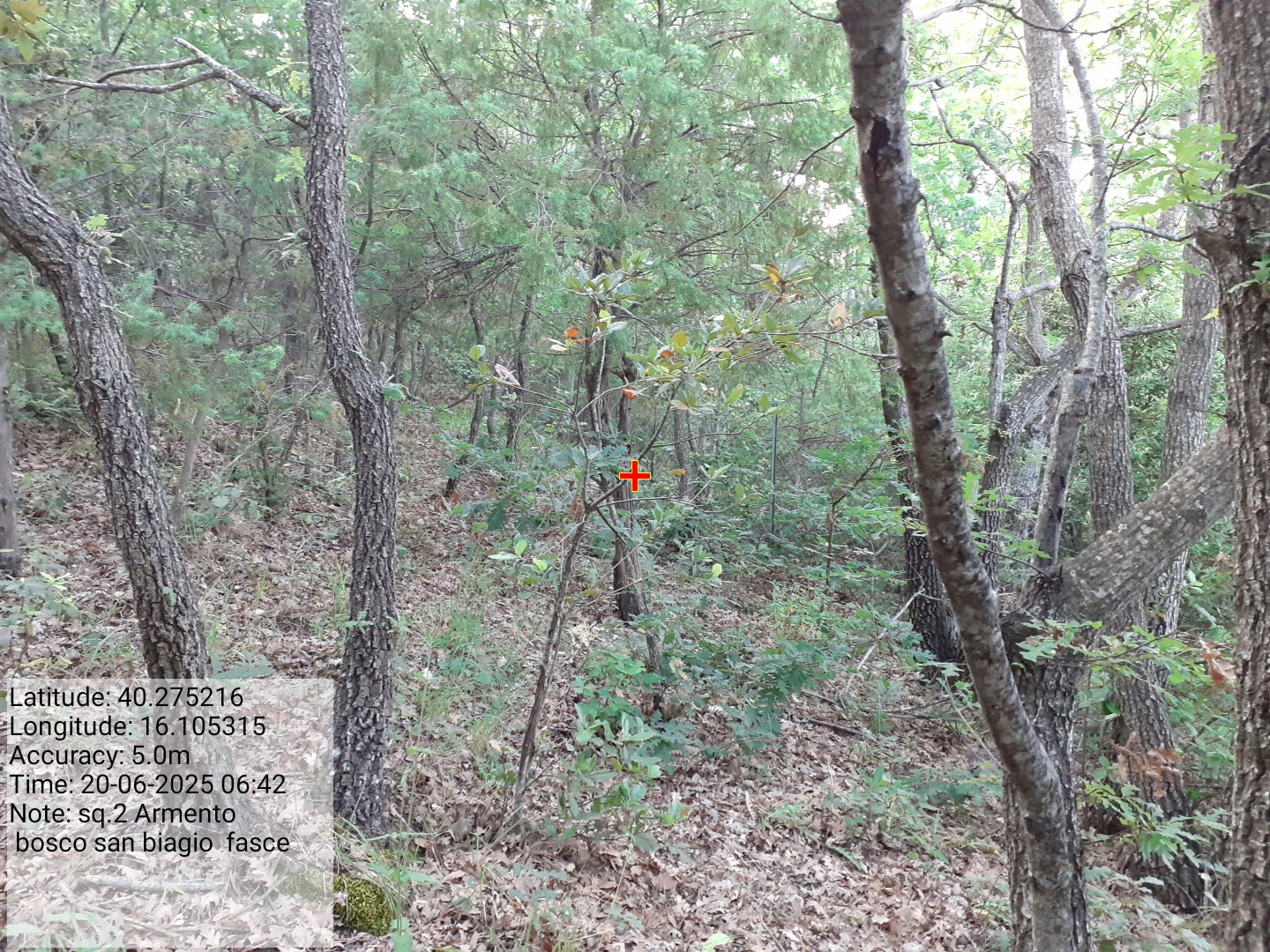 Galleria Fotografica Immagine