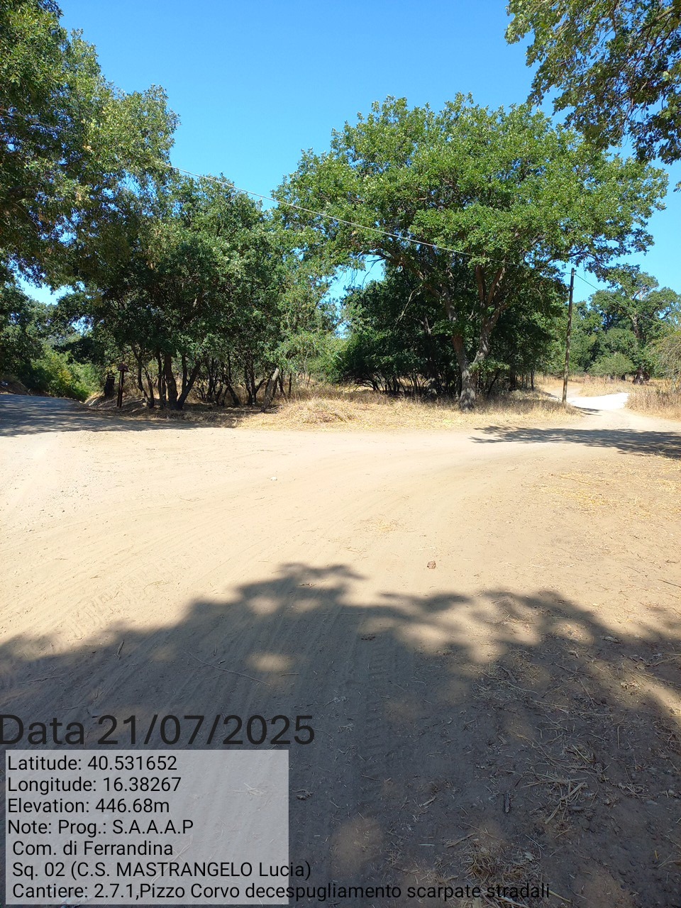 Galleria Fotografica Immagine