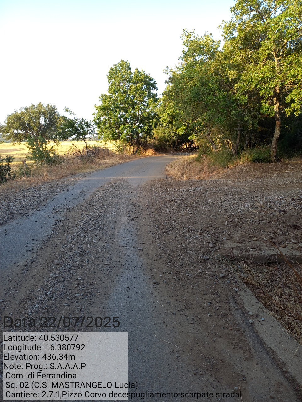 Galleria Fotografica Immagine