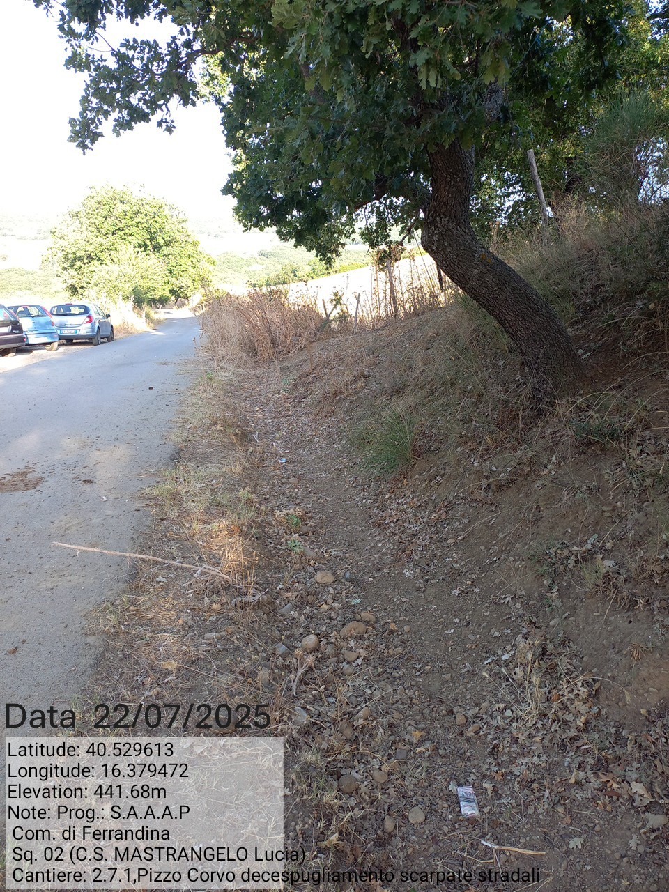 Galleria Fotografica Immagine