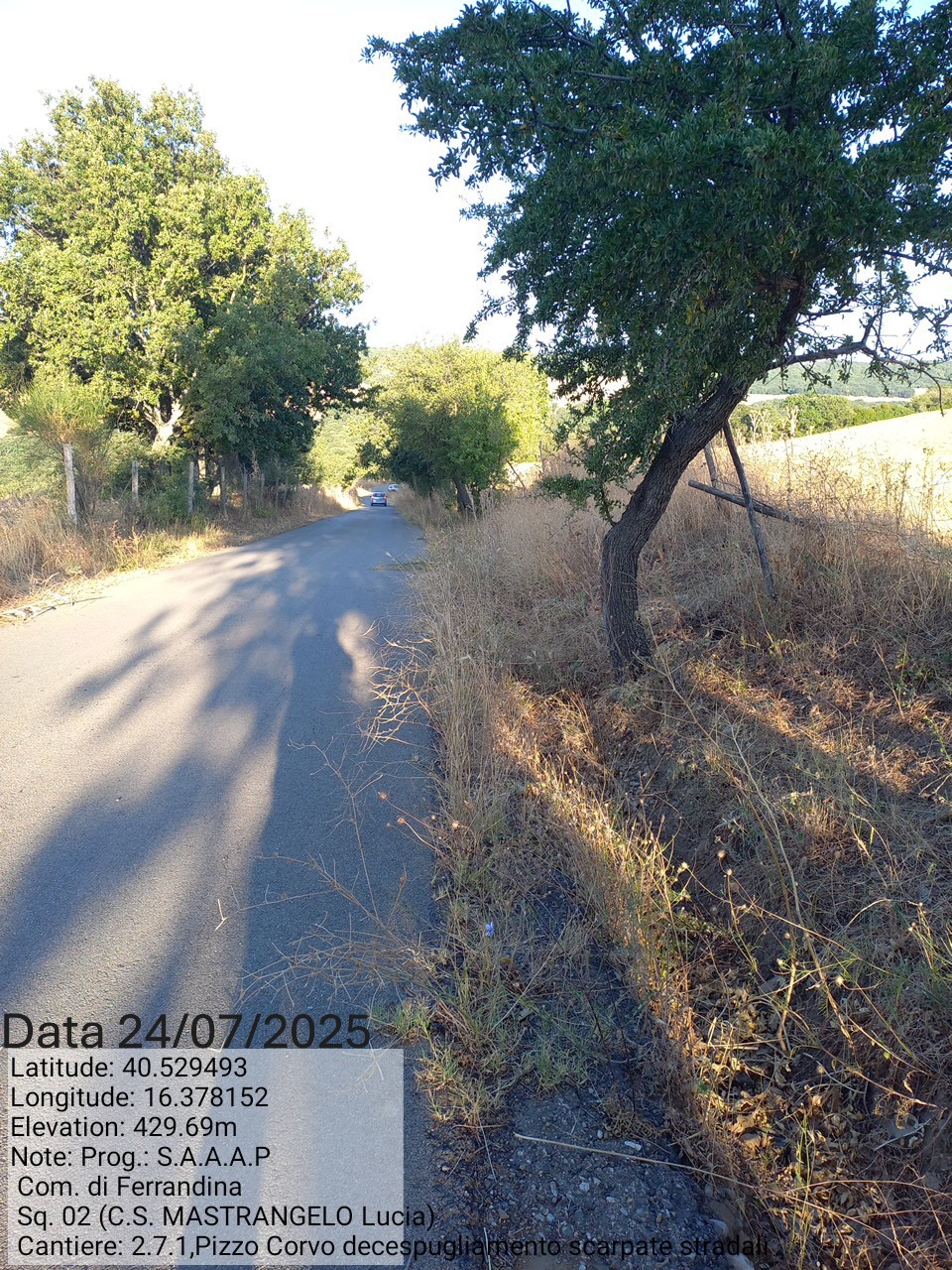 Galleria Fotografica Immagine