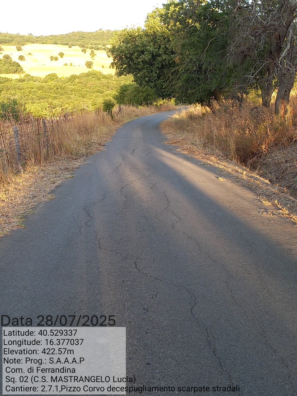 Galleria Fotografica Immagine