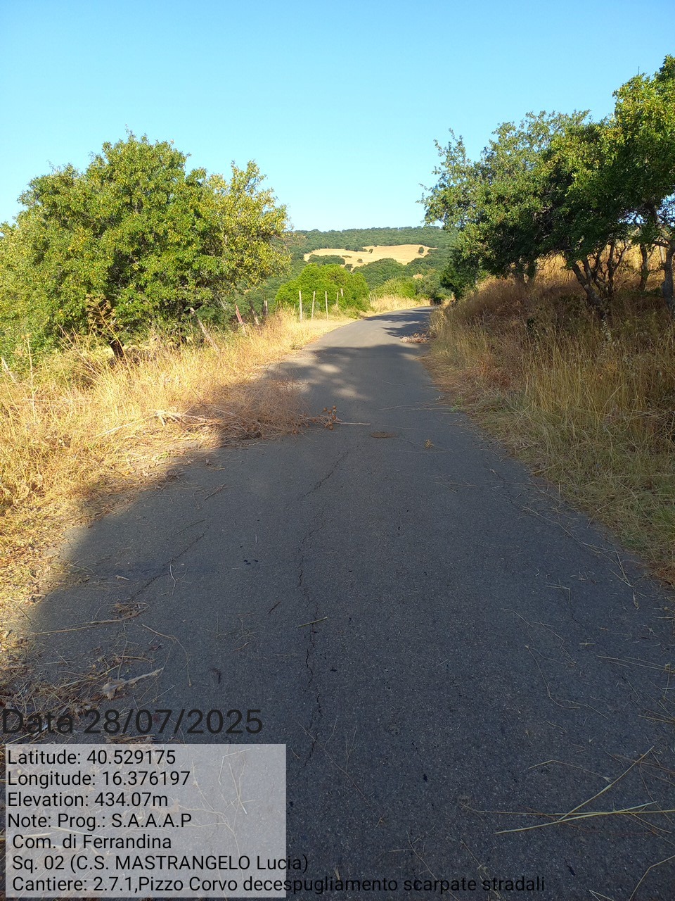 Galleria Fotografica Immagine