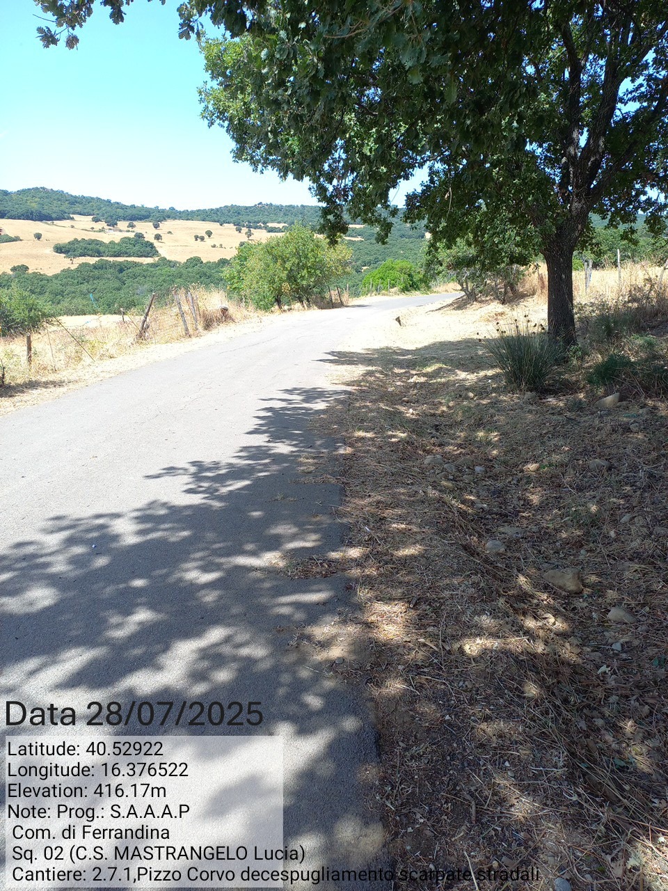 Galleria Fotografica Immagine