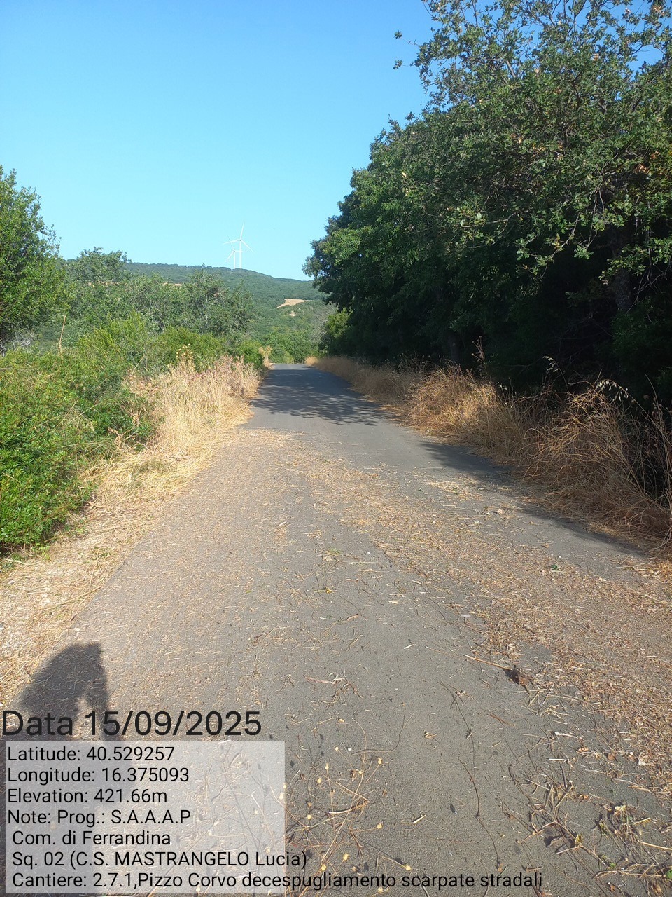 Galleria Fotografica Immagine