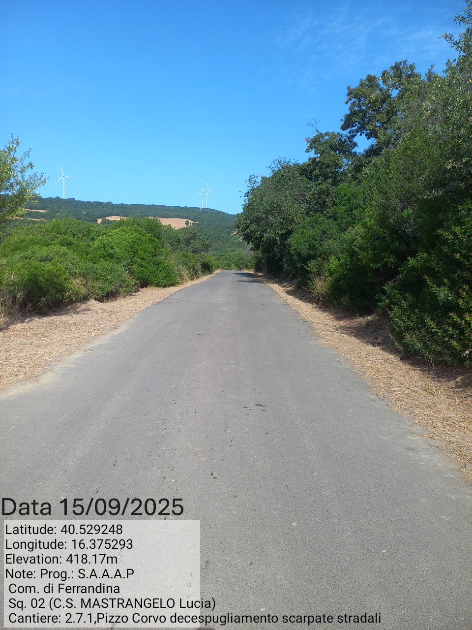 Galleria Fotografica Immagine